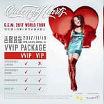 GEM2017-vip